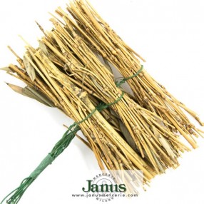 composizione-bambu