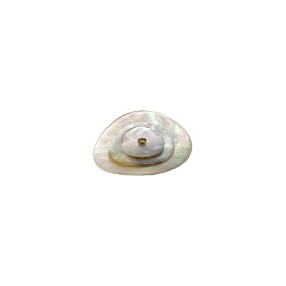 MULTILAYER AGOYA SHELL BUTTON WITH SHANK - WHITE