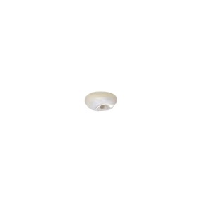 AUSTRALIA SHELL BALL BUTTON WITH TUNNEL SHANK - WHITE