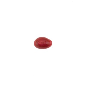 SHELL BUTTON WITH METAL SHANK - RED