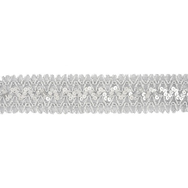 METALLIC TRIMMING BRAID WITH SEQUIN 25MM - SILVER
