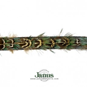 FEATHERS RIBBON 10MM - GREEN